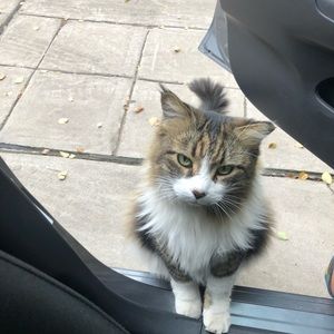 Meet your Posher, Tuli